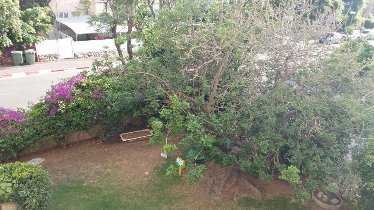Herzliya Center Apartments Kültér fotó